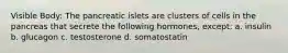 Visible Body: The pancreatic islets are clusters of cells in the pancreas that secrete the following hormones, except: a. insulin b. glucagon c. testosterone d. somatostatin