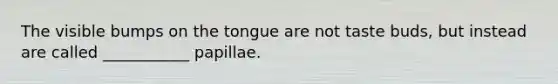 The visible bumps on the tongue are not taste buds, but instead are called ___________ papillae.