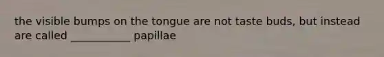 the visible bumps on the tongue are not taste buds, but instead are called ___________ papillae