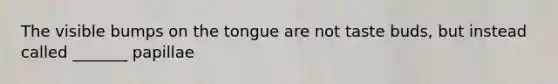 The visible bumps on the tongue are not taste buds, but instead called _______ papillae