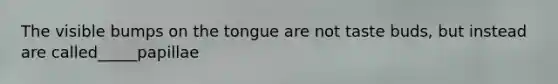 The visible bumps on the tongue are not taste buds, but instead are called_____papillae