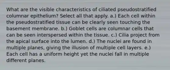 What are the visible characteristics of ciliated pseudostratified columnar epithelium? Select all that apply. a.) Each cell within the pseudostratified tissue can be clearly seen touching the basement membrane. b.) Goblet cells are columnar cells that can be seen interspersed within the tissue. c.) Cilia project from the apical surface into the lumen. d.) The nuclei are found in multiple planes, giving the illusion of multiple cell layers. e.) Each cell has a uniform height yet the nuclei fall in multiple different planes.