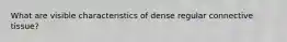 What are visible characteristics of dense regular connective tissue?