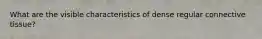 What are the visible characteristics of dense regular connective tissue?