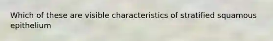 Which of these are visible characteristics of stratified squamous epithelium