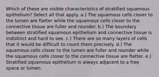 Which of these are visible characteristics of stratified squamous epithelium? Select all that apply. a.) The squamous cells closer to the lumen are flatter while the squamous cells closer to the connective tissue are fuller and rounder. b.) The boundary between stratified squamous epithelium and connective tissue is indistinct and hard to see. c.) There are so many layers of cells that it would be difficult to count them precisely. d.) The squamous cells closer to the lumen are fuller and rounder while the squamous cells closer to the connective tissue are flatter. e.) Stratified squamous epithelium is always adjacent to a free space or lumen.