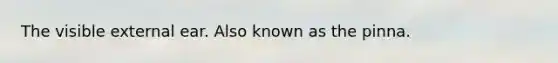 The visible external ear. Also known as the pinna.
