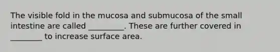 The visible fold in the mucosa and submucosa of the small intestine are called _________. These are further covered in ________ to increase surface area.