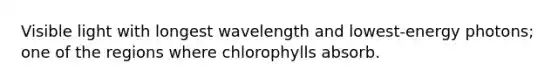 Visible light with longest wavelength and lowest-energy photons; one of the regions where chlorophylls absorb.