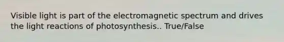 Visible light is part of the electromagnetic spectrum and drives the light reactions of photosynthesis.. True/False