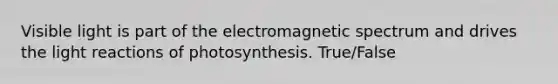 Visible light is part of the electromagnetic spectrum and drives the light reactions of photosynthesis. True/False