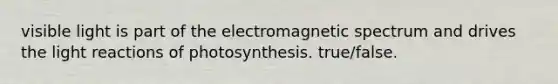 visible light is part of the electromagnetic spectrum and drives the light reactions of photosynthesis. true/false.