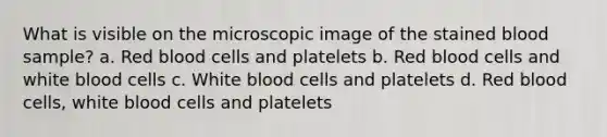 What is visible on the microscopic image of the stained blood sample? a. Red blood cells and platelets b. Red blood cells and white blood cells c. White blood cells and platelets d. Red blood cells, white blood cells and platelets