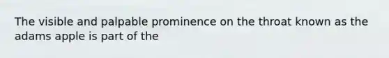 The visible and palpable prominence on the throat known as the adams apple is part of the