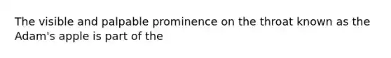 The visible and palpable prominence on the throat known as the Adam's apple is part of the