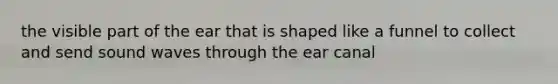 the visible part of the ear that is shaped like a funnel to collect and send sound waves through the ear canal