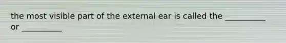 the most visible part of the external ear is called the __________ or __________