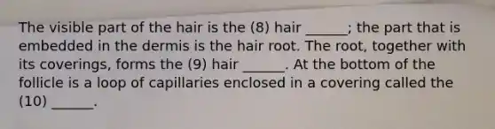 The visible part of the hair is the (8) hair ______; the part that is embedded in <a href='https://www.questionai.com/knowledge/kEsXbG6AwS-the-dermis' class='anchor-knowledge'>the dermis</a> is the hair root. The root, together with its coverings, forms the (9) hair ______. At the bottom of the follicle is a loop of capillaries enclosed in a covering called the (10) ______.