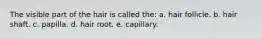 The visible part of the hair is called the: a. hair follicle. b. hair shaft. c. papilla. d. hair root. e. capillary.