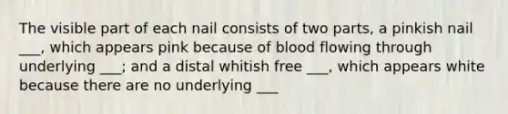 The visible part of each nail consists of two parts, a pinkish nail ___, which appears pink because of blood flowing through underlying ___; and a distal whitish free ___, which appears white because there are no underlying ___