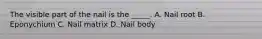The visible part of the nail is the _____. A. Nail root B. Eponychium C. Nail matrix D. Nail body