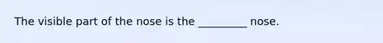 The visible part of the nose is the _________ nose.