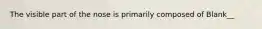 The visible part of the nose is primarily composed of Blank__
