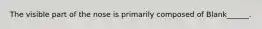 The visible part of the nose is primarily composed of Blank______.