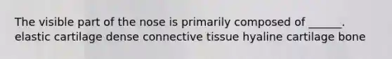 The visible part of the nose is primarily composed of ______. elastic cartilage dense connective tissue hyaline cartilage bone