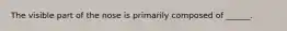 The visible part of the nose is primarily composed of ______.