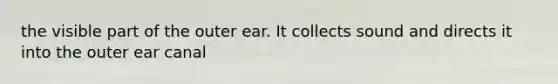 the visible part of the outer ear. It collects sound and directs it into the outer ear canal