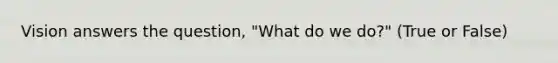 Vision answers the question, "What do we do?" (True or False)