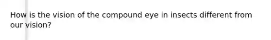 How is the vision of the compound eye in insects different from our vision?