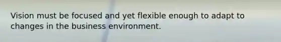 Vision must be focused and yet flexible enough to adapt to changes in the business environment.