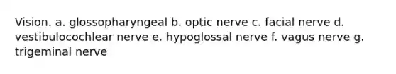 Vision. a. glossopharyngeal b. optic nerve c. facial nerve d. vestibulocochlear nerve e. hypoglossal nerve f. vagus nerve g. trigeminal nerve