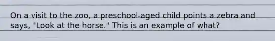 On a visit to the zoo, a preschool-aged child points a zebra and says, "Look at the horse." This is an example of what?