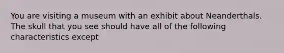 You are visiting a museum with an exhibit about Neanderthals. The skull that you see should have all of the following characteristics except