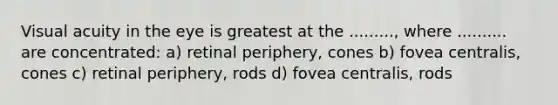 Visual acuity in the eye is greatest at the ........., where .......... are concentrated: a) retinal periphery, cones b) fovea centralis, cones c) retinal periphery, rods d) fovea centralis, rods