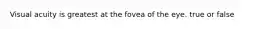 Visual acuity is greatest at the fovea of the eye. true or false