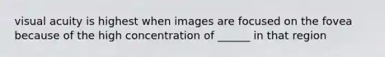 visual acuity is highest when images are focused on the fovea because of the high concentration of ______ in that region