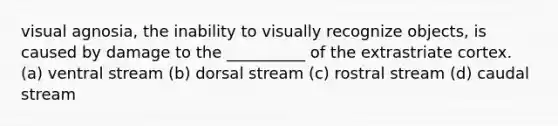 visual agnosia, the inability to visually recognize objects, is caused by damage to the __________ of the extrastriate cortex. (a) ventral stream (b) dorsal stream (c) rostral stream (d) caudal stream