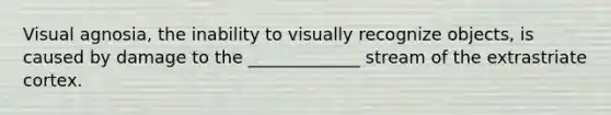 Visual agnosia, the inability to visually recognize objects, is caused by damage to the _____________ stream of the extrastriate cortex.