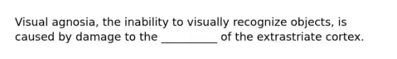 Visual agnosia, the inability to visually recognize objects, is caused by damage to the __________ of the extrastriate cortex.