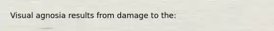 Visual agnosia results from damage to the: