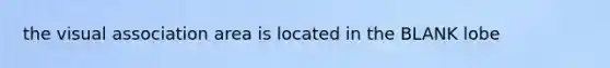 the visual association area is located in the BLANK lobe