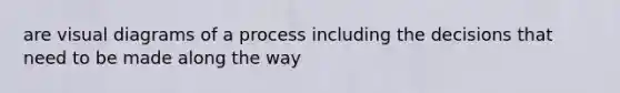 are visual diagrams of a process including the decisions that need to be made along the way