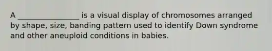 A ________________ is a visual display of chromosomes arranged by shape, size, banding pattern used to identify Down syndrome and other aneuploid conditions in babies.