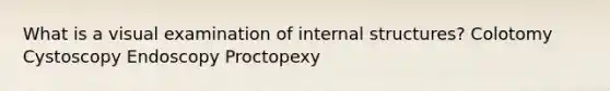 What is a visual examination of internal structures? Colotomy Cystoscopy Endoscopy Proctopexy