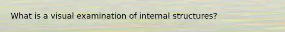 What is a visual examination of internal structures?