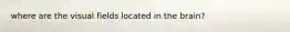 where are the visual fields located in the brain?